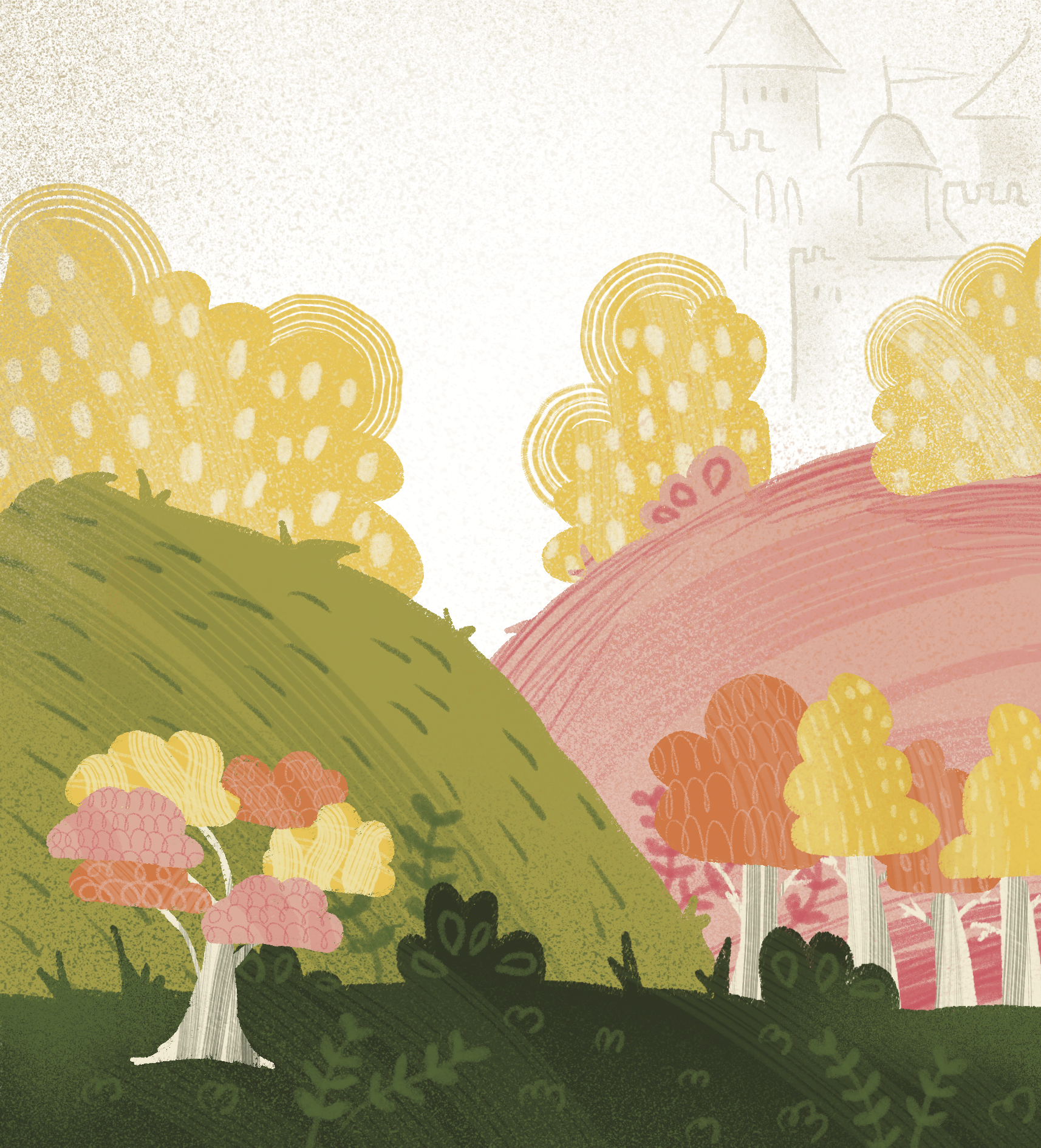 Projet 5