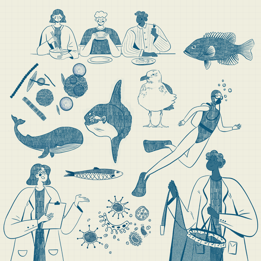 Projet 1